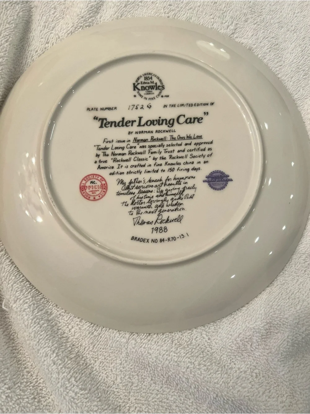 Edwin Knowles Rockwell Decorative Plate  -Tender Loving Care 1988
